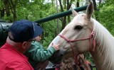 Grudziądz. "Sejmik zwierzęcy" przy Leśniczówce w Parku Miejskim zorganizowali działacze "Polski 2050 Szymona Hołowni"  [zdjęcia]