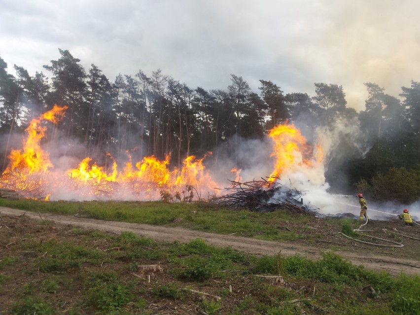 48 strażaków przez ponad 6 godzin zmagało się z pożarem, który wybuchł w Puszczy Bieniszewskiej