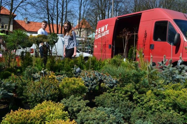 Piotrkowskie Targi Ogrodnicze co roku przyciągają prawdziwe tłumy