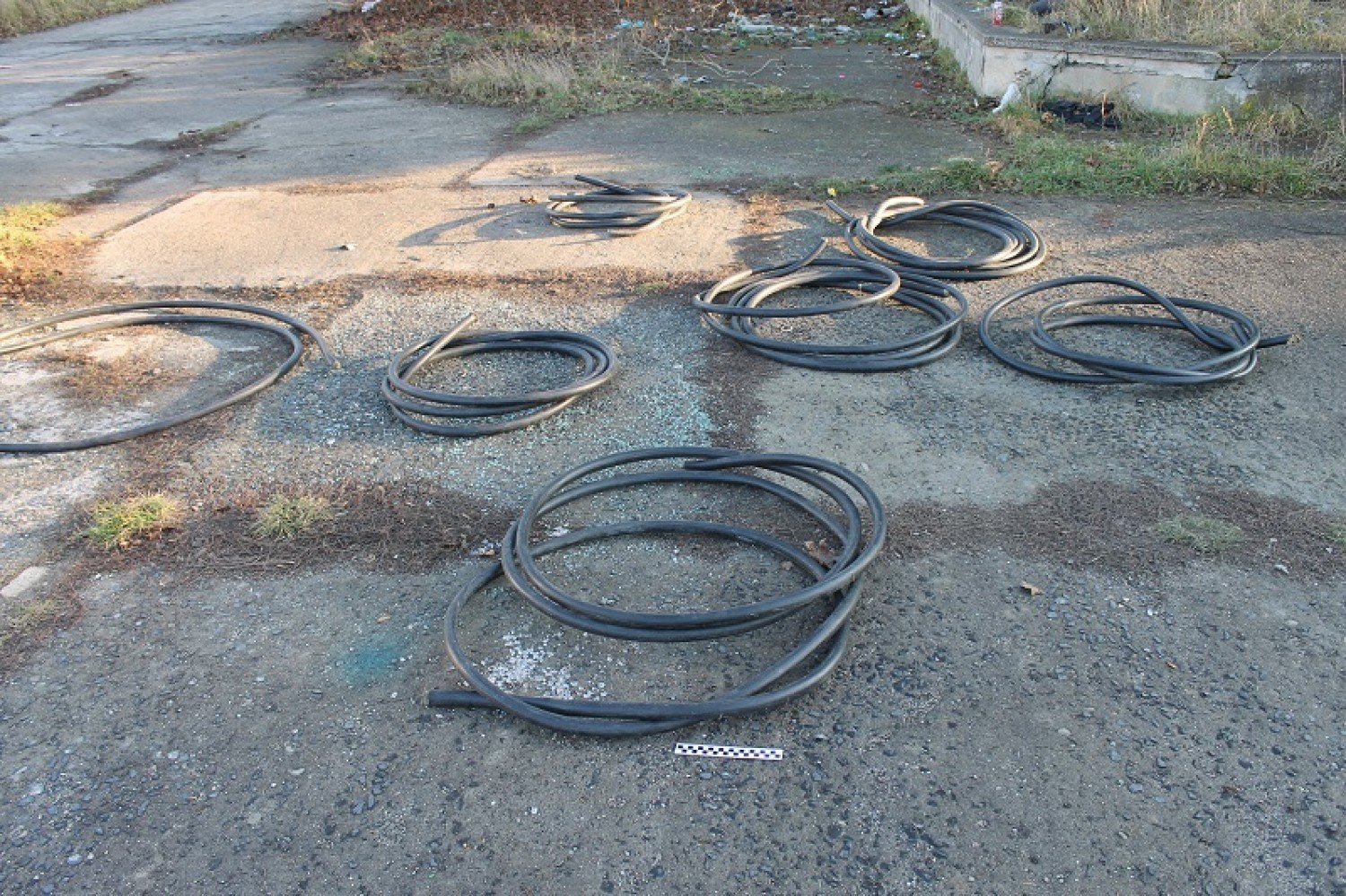 Kradli kabel telekomunikacyjny. Wpadli na gorącym uczynku | Legnica Nasze  Miasto