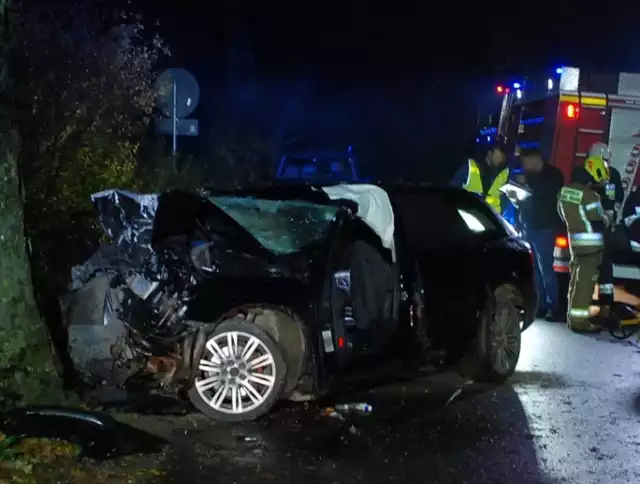 Policjanci z Wydziału Dochodzeniowo - Śledczego KPP w Lęborku prowadzą dochodzenie w sprawie wypadku drogowego pomiędzy Janowicami a Janowiczkami. Kierujący Audi A4 30-latek stracił panowanie nad autem i uderzył w drzewo. On sam, jak i jego 19-letni pasażer zostali przewiezieni do szpitala.