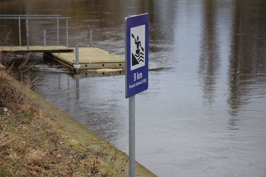Przybyło wody w Raduni w Pruszczu. Rzeka ma nieco wyższy stan niż zwykle | ZDJĘCIA