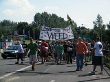 Marsz Wyzwolenia Konopi przejdzie ulicami Zakopanego bez zgody miasta
