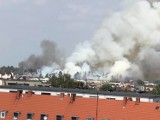 Groźny pożar lasu w Sokołowie. Na miejscu było wiele jednostek strażackich