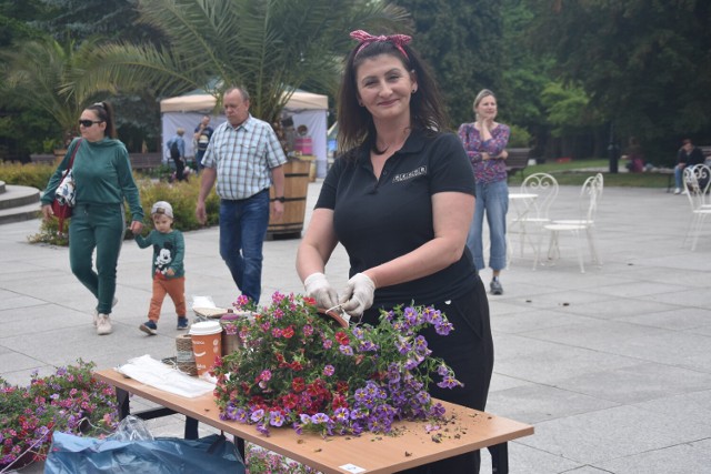 Flower Show w Jastrzębiu to wydarzenie wpisujące się w obchody 60-lecia miasta.