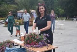 Jastrzębie: Flower Show w Parku Zdrojowym - zobacz ZDJĘCIA! Konkursy, pokazy i wykłady znanych ogrodników