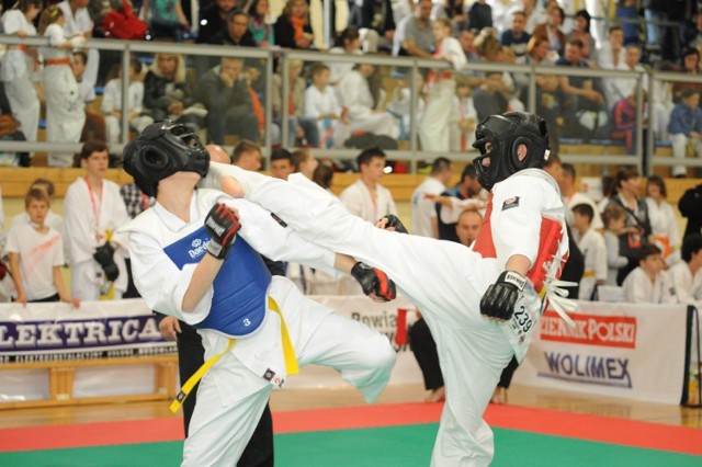 Karatecy z Radomska na „One World One Kyokushin” w Lamanowej