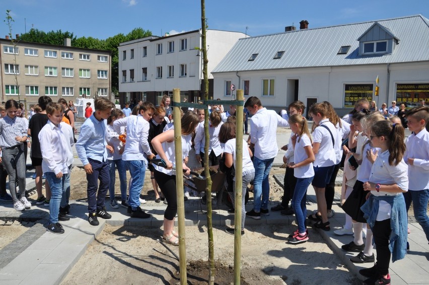 Posadzili platany wolności. Będą o nie dbać tak, jak o niepodległość [ZDJĘCIA]