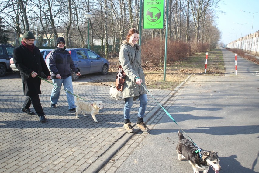 Schronisko dla zwierząt w Poznaniu: Czytaj więcej TUTAJ