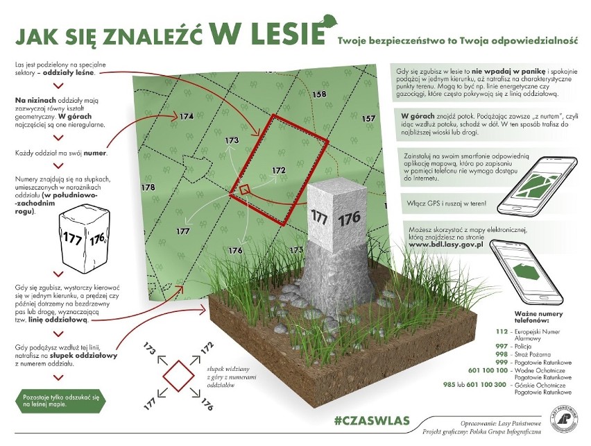 Możesz legalnie biwakować w Lasach Państwowych. Nowa propozycja dla miłośników bushcraftu i survivalu