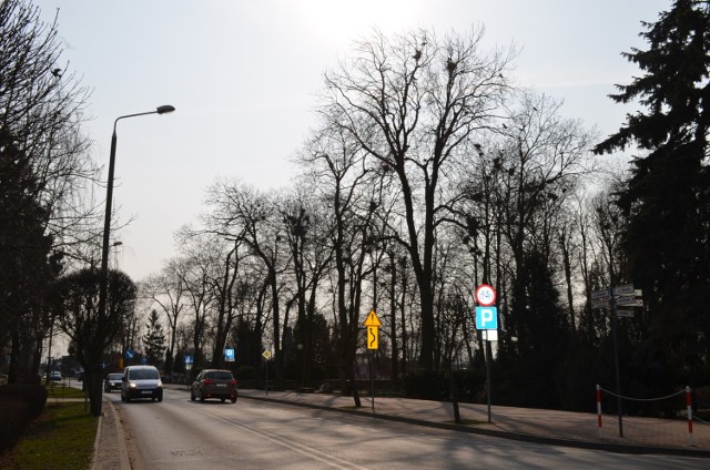 Radny Wesołowski w imieniu mieszkańców zwrócił uwagę, że po zimie  krawężniki na ul. Świeckiej są zapiaszczone i  niewidoczne