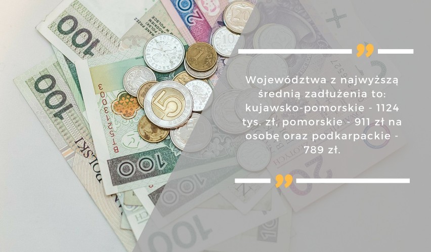 Jak bardzo zadłużeni są polscy gapowicze? Jazda bez biletu się nie opłaca!