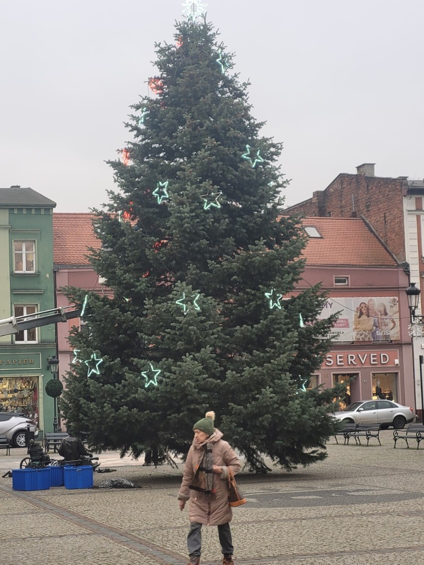 Choinka stanęła na Rynku w Kościerzynie. W mieście zaczyna się robić świątecznie [ZDJĘCIA]