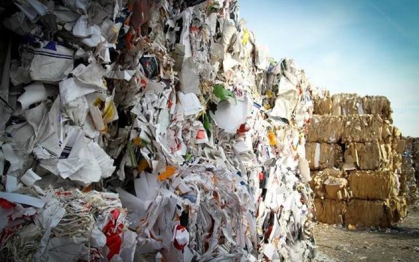 Prezydent Kołobrzegu wycofuje się z drastycznej podwyżki opłaty za niesegregowane śmieci