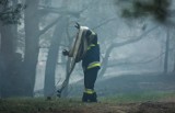 Pożar młodnika w miejscowości Słończ w gm. Dąbrowa Chełmińska 