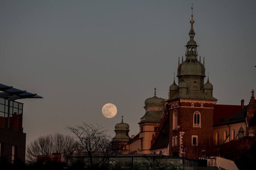 Różowy księżyc na krakowskim niebie. Zobacz to niezwykłe zjawisko [ZDJĘCIA]