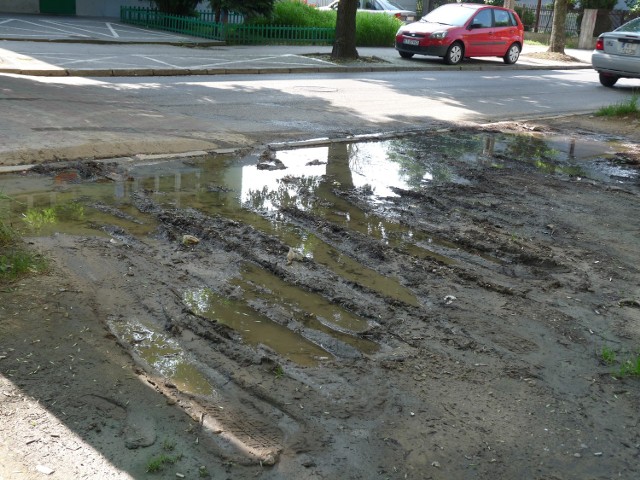 Nad bajorkiem unosi się stado much, komarów, panuje niesamowity fetor, w dodatku tuż obok kiosku spożywczego.&#8233;