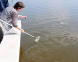 Sanepid rozpoczyna badania wody w kąpieliskach