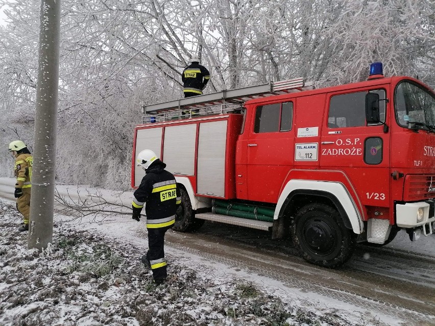 Strażacy z Zadroża (pow. olkuski) usuwali połamane pod...
