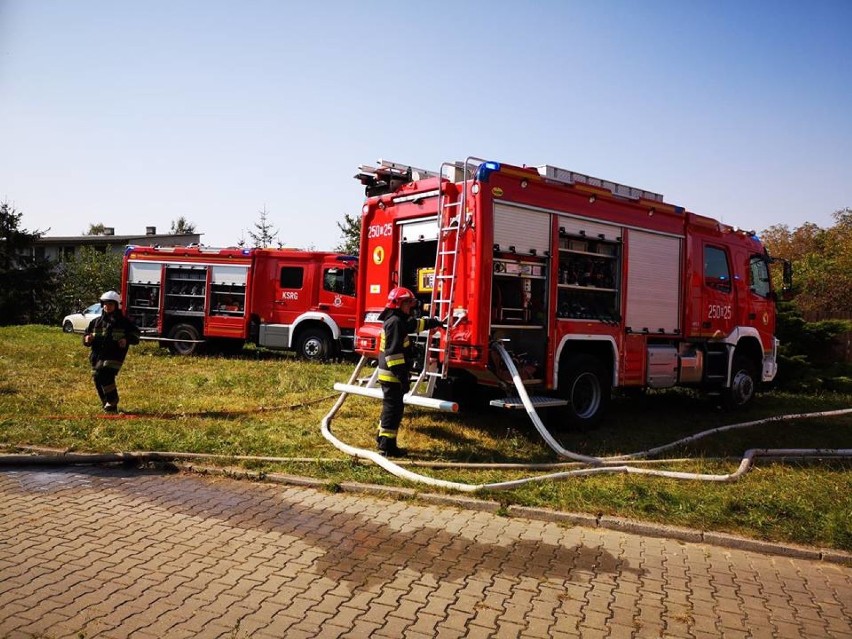 Pożar zakładu obuwniczego w Rędzinach. Na miejscu interweniują jednostki PSP i OSP. Utrudnienia w ruchu na DK 91 [ZDJĘCIA]