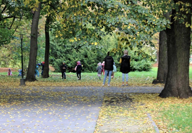 Dzieci bawiące się w zamojskim Parku Miejskim