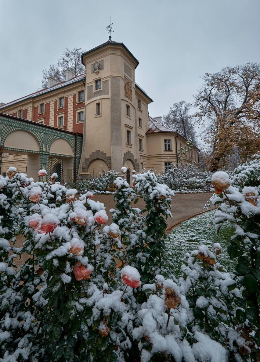  Zobacz, jak pięknie śnieg przyprószył park okalający łańcucką rezydencję (FOTO)