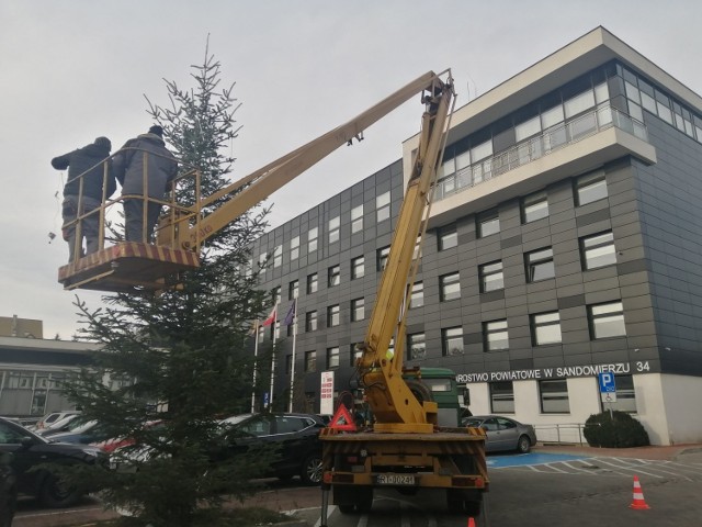 Przed Starostwem Powiatowym w Sandomierzu zapachniało świętami. Przed budynkiem stanęło bożonarodzeniowe drzewko.