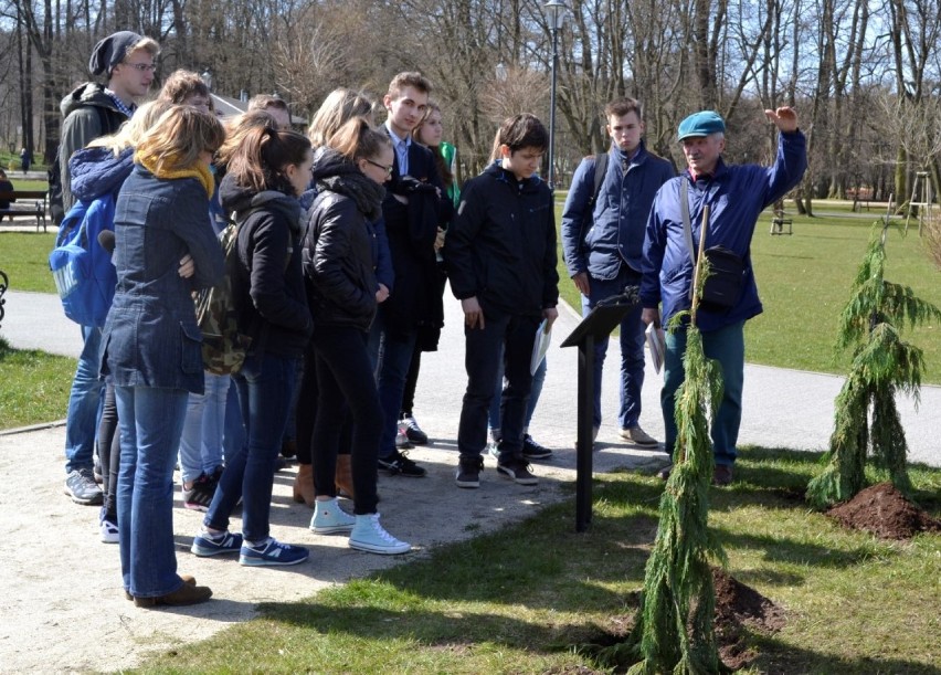 Seniorzy z UTW w Wejherowie w Parku Miejskim zasadzili cyprysiki [ZDJĘCIA + VIDEO]
