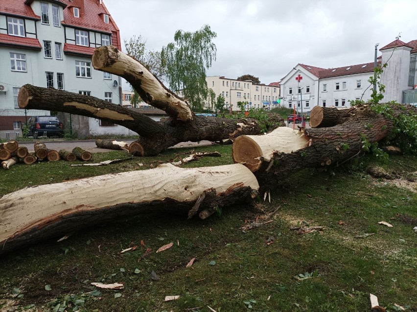 Wycięto wielkie drzewa przed przychodnią w Szczecinku. Kierowcy, uważajcie! [zdjęcia]