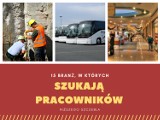 Zobacz, kogo szukają pracodawcy. Oferty pracy na niższych stanowiskach