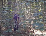 39-letnia mieszkanka gminy Tarnówka przeżyła horror w lesie. Tego grzybobrania nigdy nie zapomni 