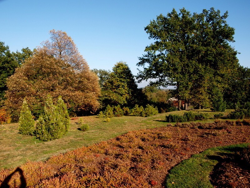 Ogród w jesiennych barwach