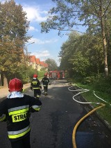 Katowice: Koparka uszkodziła gazociąg, ewakuowano 38 osób [ZDJĘCIA]