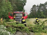 Strażacy z Ochotniczej Straży Pożarnej w Wadlewie usuwali powalone drzewa w powiecie bełchatowskim