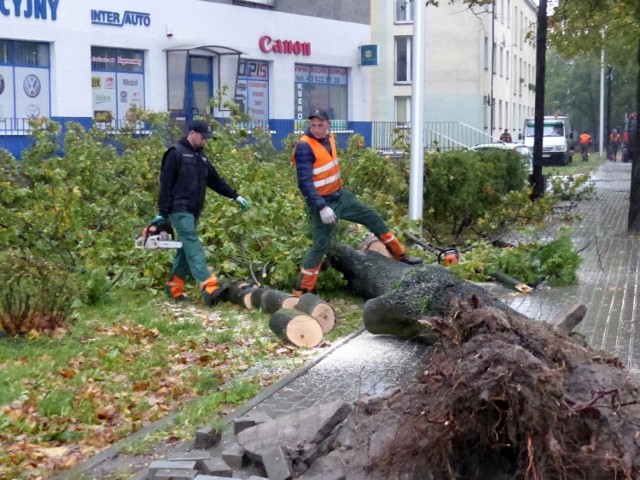 Orkan Ksawery. Wichura w Łodzi i regionie. Wiatr zrywał dachy, łamał drzewa