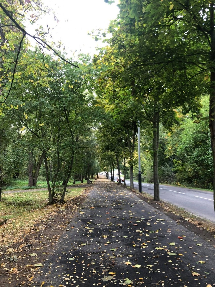 WRZEŚNIA: Nowy chodnik na Dębinie! Jakie są koszty inwestycji? [FOTO]