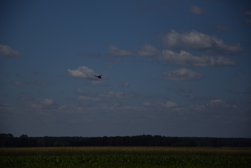 Tereny leśne Nadleśnictwa Milicz są przeczesywane przez 800 policjantów oraz specjalny helikopter