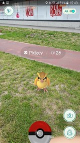 Pokemon Go. Stwory dotarły do Krakowa. Gdzie je można spotkać w mieście?  [ZDJĘCIA, WIDEO]