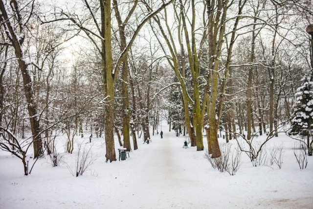 Park Bednarskiego w pięknej, zimowej scenerii