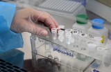 Gostyń: Sanepid odnotowuje więcej zachorowań. Trzy osoby zarażone wirusem AH1N1