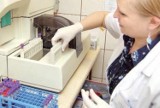 W Pruszczu Gdańskim wykonasz darmowy test na HCV