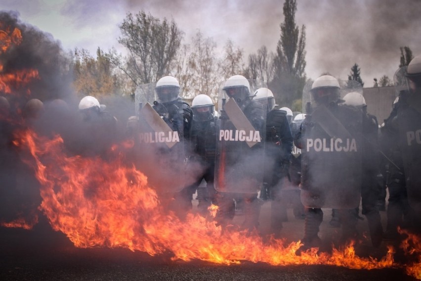 Policyjne konie ze Smardzewic koło Tomaszowa pomyślnie przeszły atestację [ZDJĘCIA]