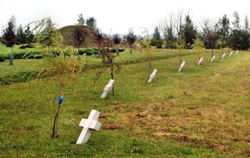 Aleja Pamięci Ofiar Wypadków Komunikacyjnych.fot. Mariusz...