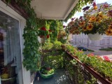 Mieszkańcy Koluszek mogą pochwalić się swoim ogrodem lub balkonem. Marszałek ogłosił konkurs