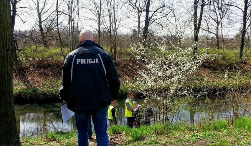Bytom: Znaleziono ciało mężczyzny w stawie przy ul. Chorzowskiej 