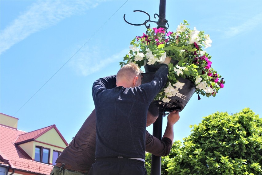 Kwiaty udekorowały plac Tadeusza Kościuszki w Łęczycy