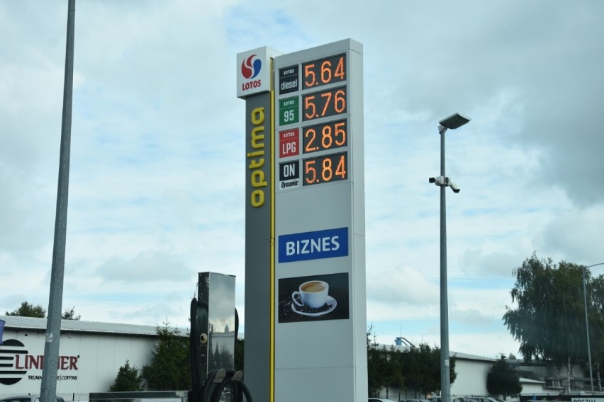 Wągrowiec. Ile aktualnie kosztuje paliwo na stacjach w Wągrowcu? 