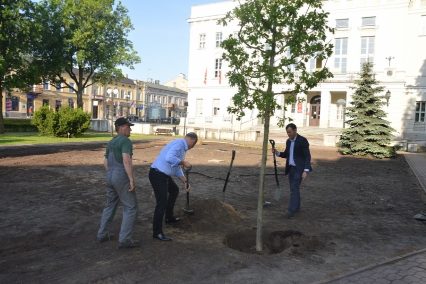 Gdzie posadzonych zostanie 99 dębów. Ruszyły konsultacje...