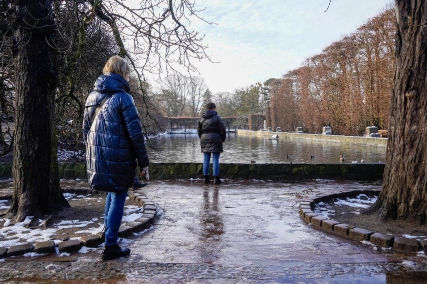 Można też odwiedzić Park Oliwski