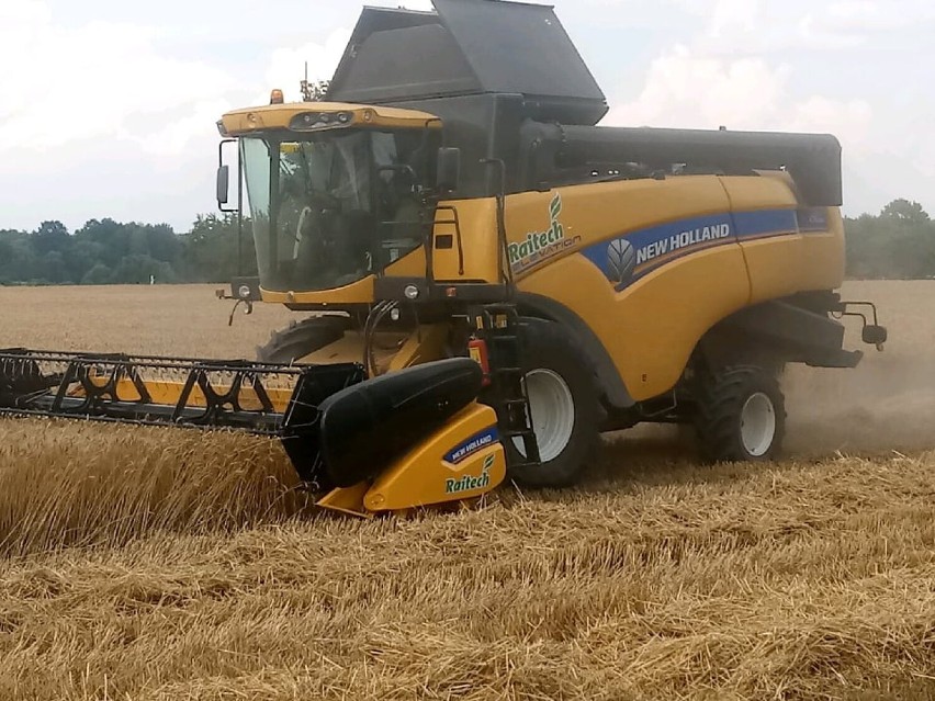 Wojciech Adamski kosi swoim New Holland